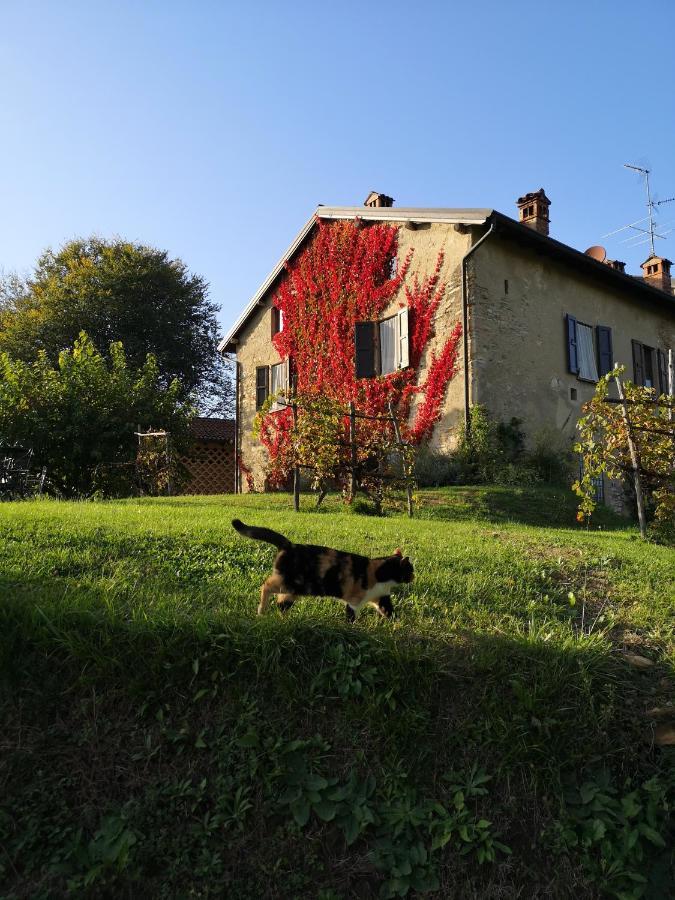 Agriturismo La Costa - Casa Vacanze Rovagnate 외부 사진