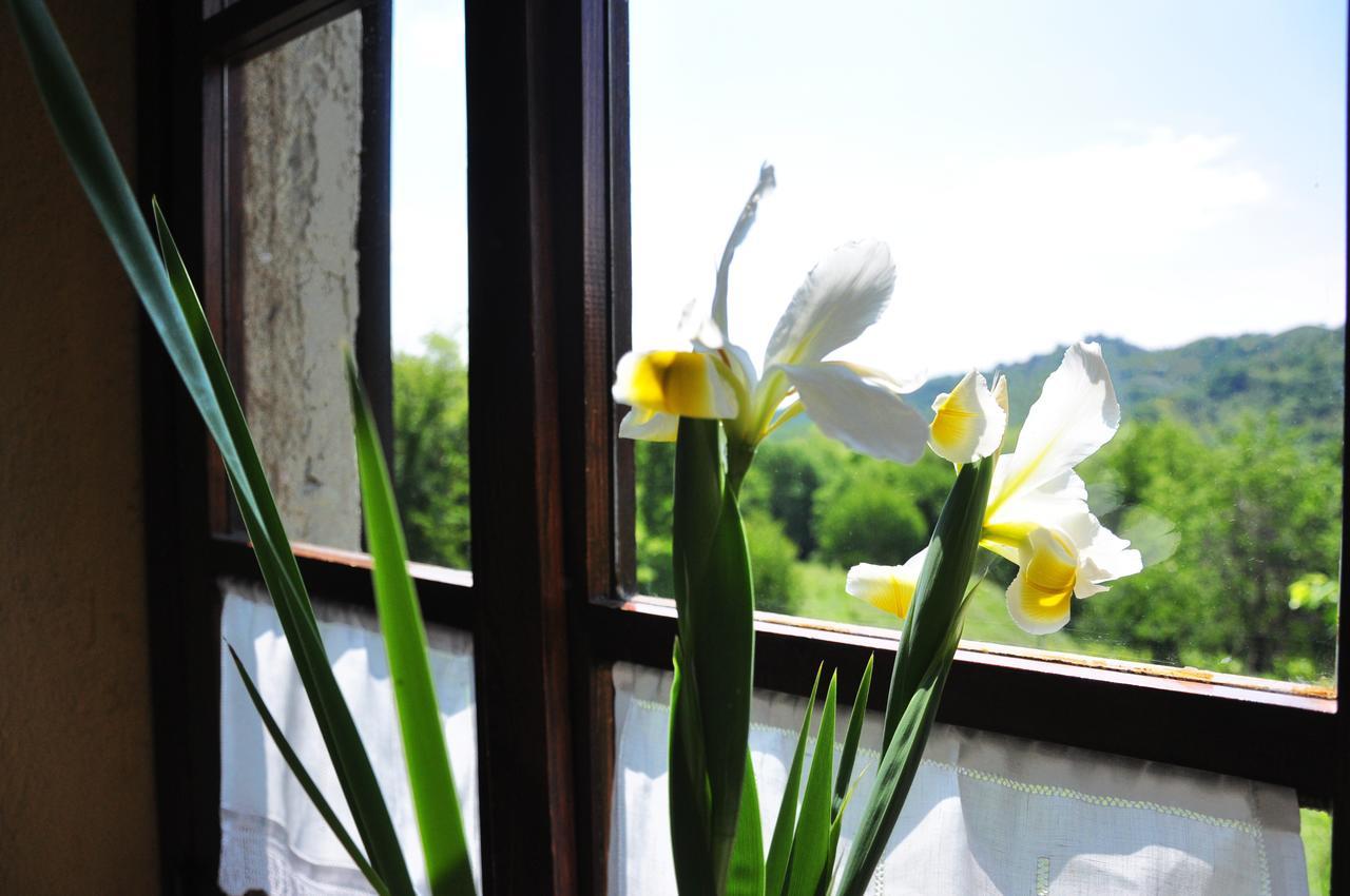 Agriturismo La Costa - Casa Vacanze Rovagnate 외부 사진